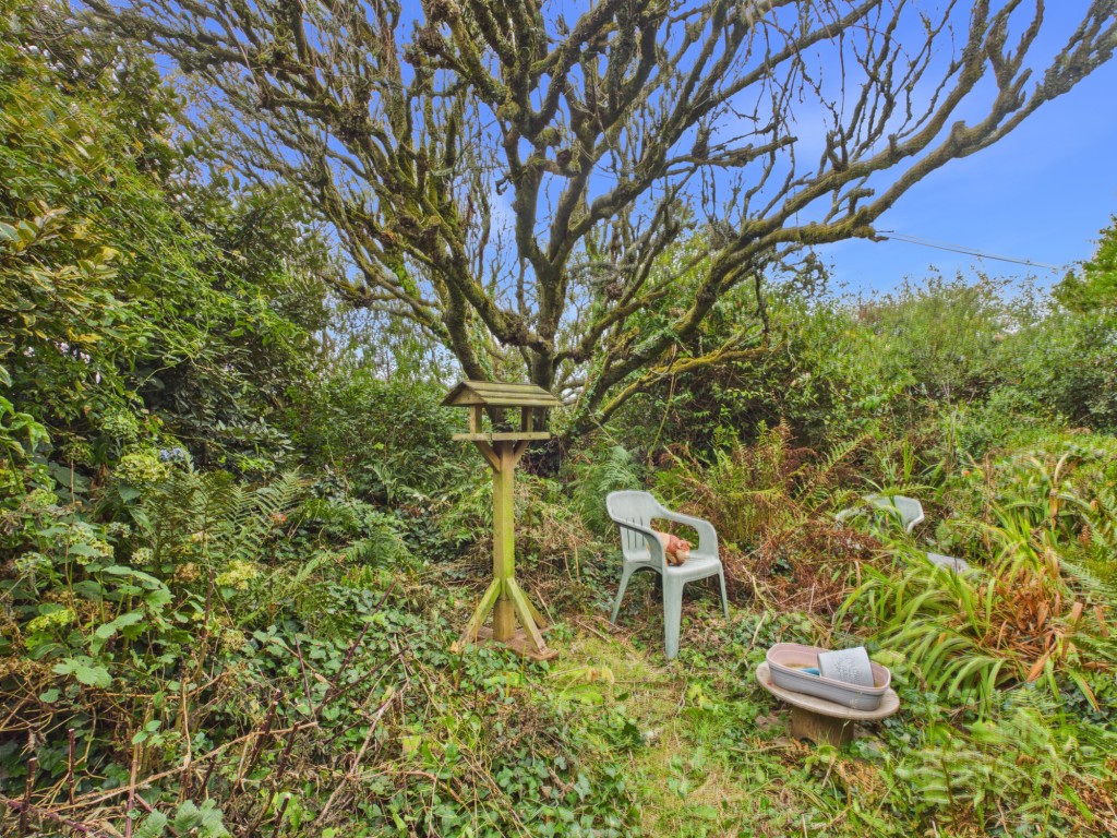 Lot: 134 - DETACHED IRON-CLAD BUNGALOW WITH RESIDENTIAL USE IN COUNTRYSIDE LOCATION - Garden area